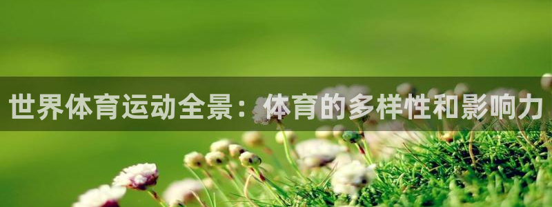 01体育App下载：世界体育运动全景：体育的多样性和影响力