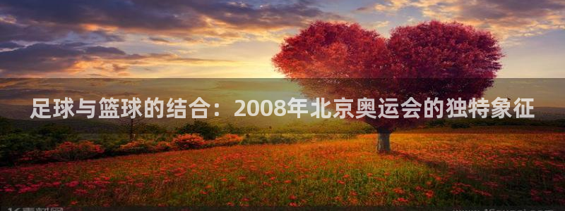 01体育：足球与篮球的结合：2008年北京奥运会的独特象征