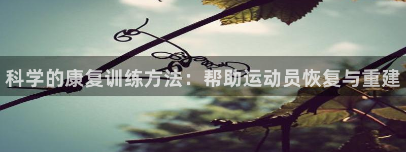 01体育热门赛事直播：科学的康复训练方法：帮助运动员恢复与重建