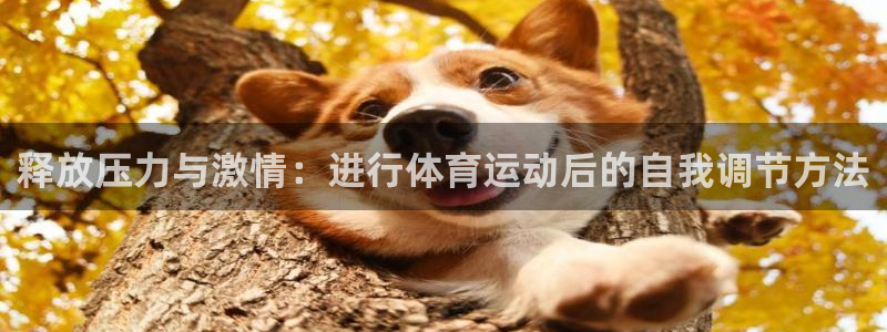 01体育直播网：释放压力与激情：进行体育运动后的自我调节方法